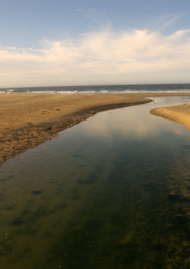 Baldaio (0)