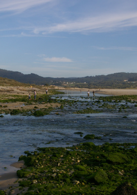Baldaio (2)
