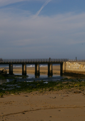 Baldaio (1)