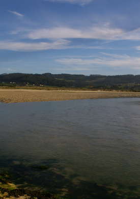 Baldaio (2)