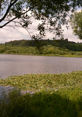 Lagoa de Sobrado (1)