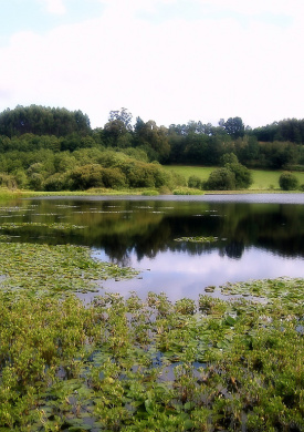 Lagoa de Sobrado (2)