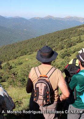 Montes de Valsaín (0)