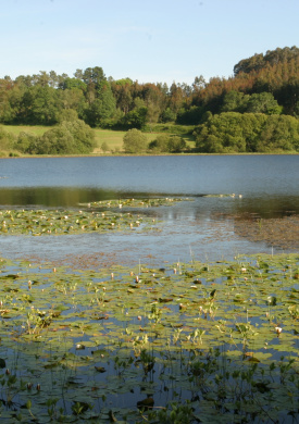 Lagoa de Sobrado (2)