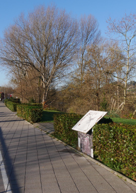Ribera del Saja-Besaya a su paso por Torrelavega (3)