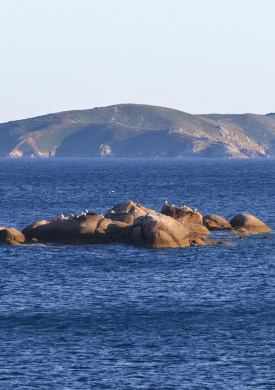 Archipiélago de Ons - Parque Nacional Marítimo Te...