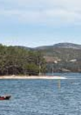 Isla de Cortegada