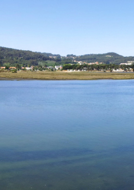 Estuario del río Miñor en A Ramallosa