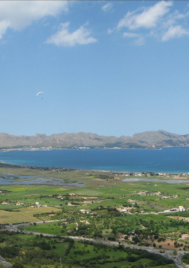 Reserva natural de s'Albufereta