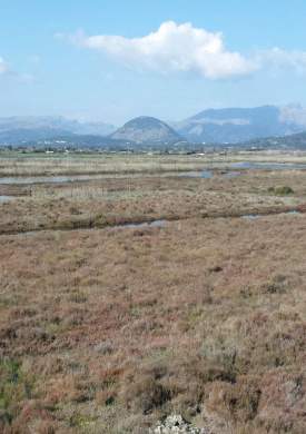 RN Albufereta vista humedal.jpg