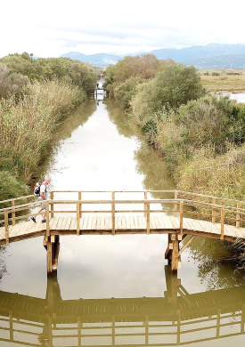 Parc natural de s'Albufera de Mallorca