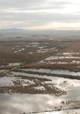 PN Albufera Mall vista aerea.jpg