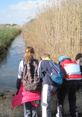 PN Albufera act escolar.JPG