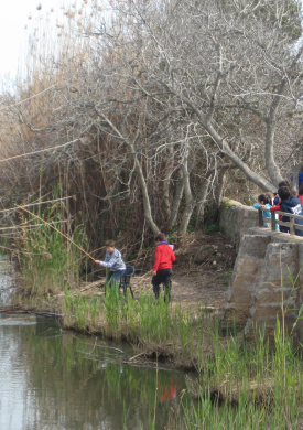 PN Albufera taller escolar.JPG