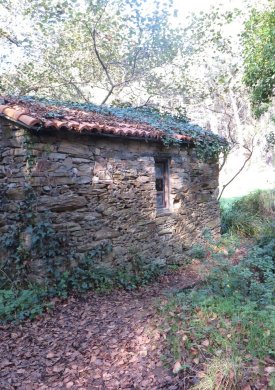 IMG_2065 [Resolucion de Escritorio].JPG